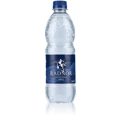 Radnor Hills Still Water 500ml (Case of 24)