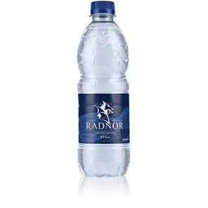 Radnor Hills Still Water 500ml (Case of 24)