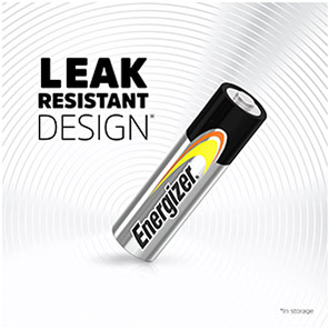 Energizer Alkaline AA Battery (Pack of 10)