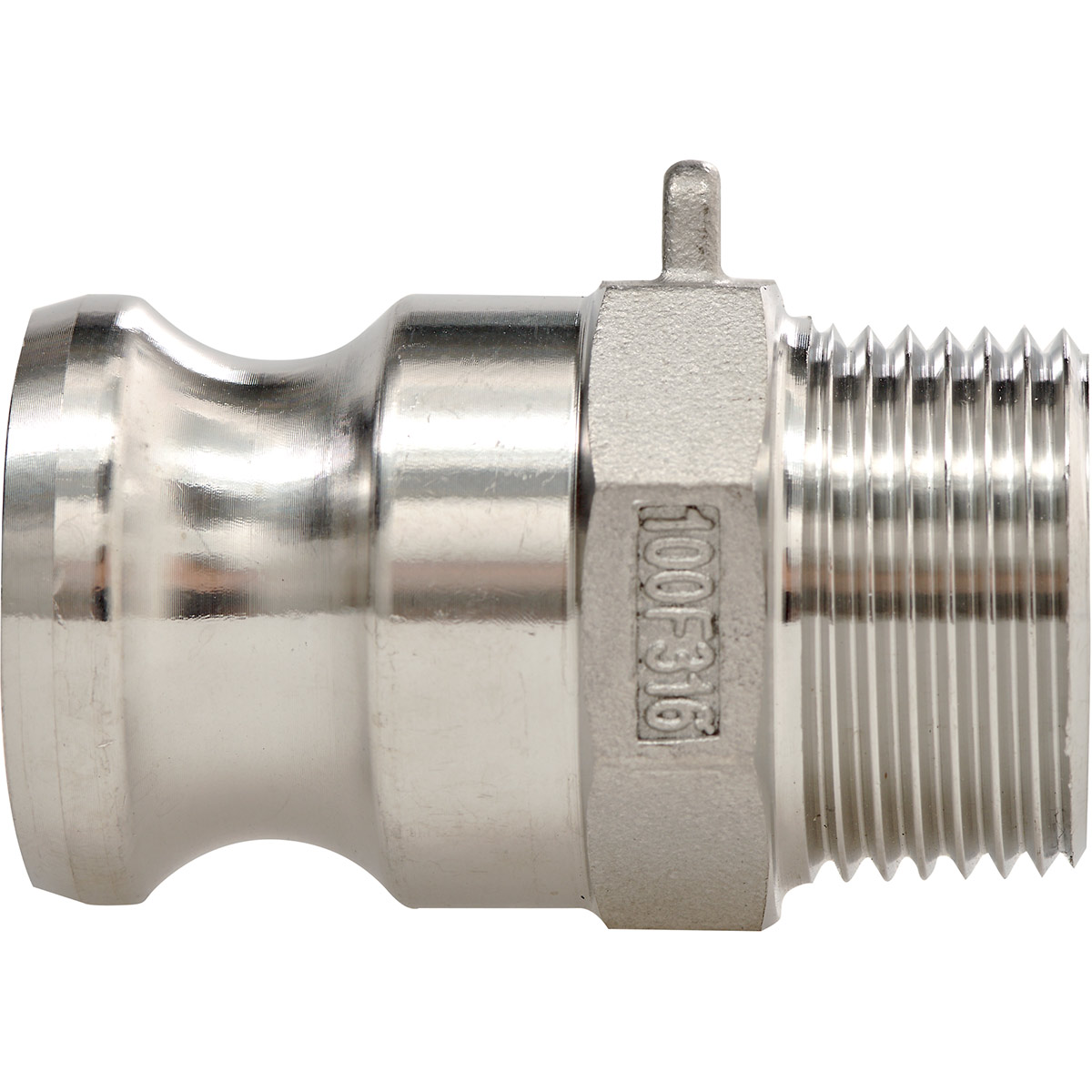 Stainless Steel Part F Camlock Fitting | Not Branded | Hose Fittings ...