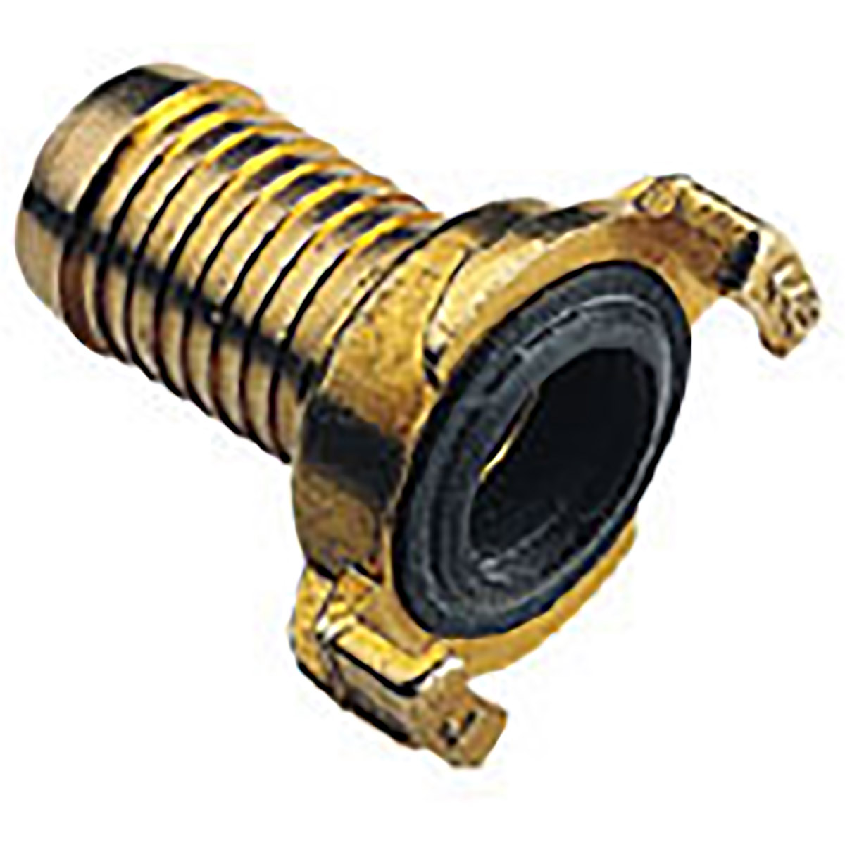 Ludecke WaterProfi Brass Water Claw Coupling Female BSPP Not Branded