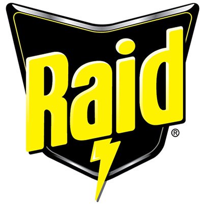 Raid Fly and Wasp Killer 300ml