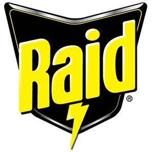 Raid Fly and Wasp Killer 300ml