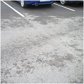 EcoZyme 3 Oil Stain Remover for Tarmac and Asphalt 1L