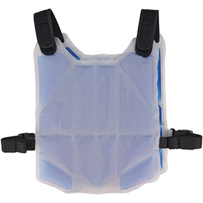 Ergodyne Chill-Its 6210 Blue Phase Change Cooling Vest