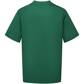 Alsico NMN1 Menis Bottle Green Notch-Neck Tunic