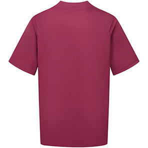 Alsico NMN1 Menis Garnet Notch-Neck Tunic