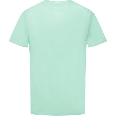 Alsico NCS1 Unisex Eau de Nil Scrub Tunic