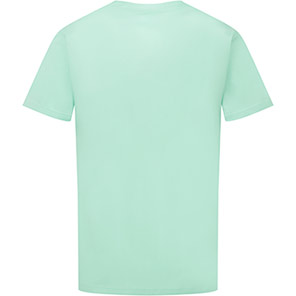 Alsico NCS1 Unisex Eau de Nil Scrub Tunic