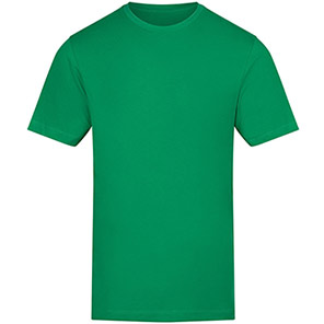 AWDis 150 Kelly Green T-Shirt 5XL
