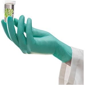 Ansell MICROFLEX NeoTouch 25-101 Neoprene Disposable Gloves (Box of 100)