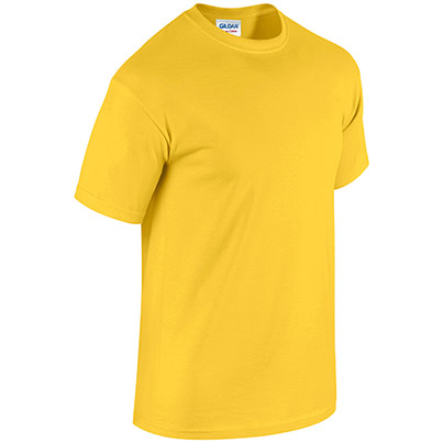 Gildan HeavyCotton GD005 Daisy T-Shirt