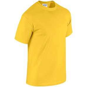 Gildan HeavyCotton GD005 Daisy T-Shirt