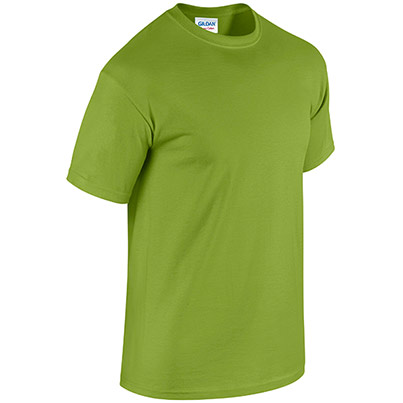 Gildan HeavyCotton GD005 Kiwi T-Shirt