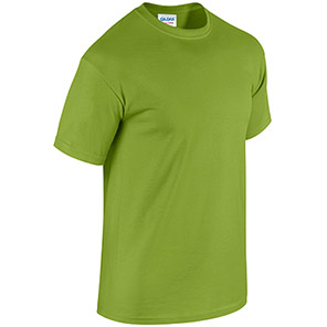 Gildan HeavyCotton GD005 Kiwi T-Shirt