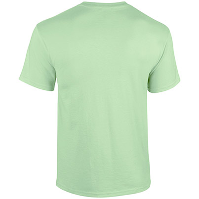 Gildan HeavyCotton GD005 Mint T-Shirt