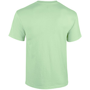 Gildan HeavyCotton GD005 Mint T-Shirt