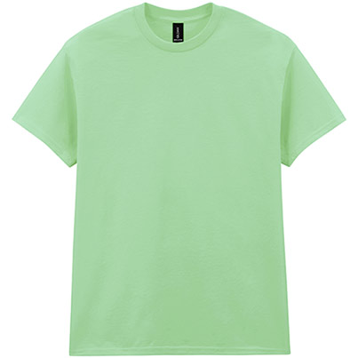 Gildan HeavyCotton GD005 Mint T-Shirt