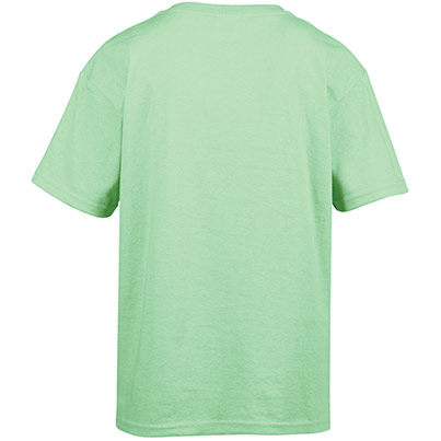 Gildan Softstyle GD001 Mint Green T-Shirt