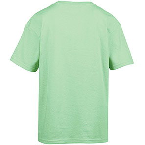 Gildan Softstyle GD001 Mint Green T-Shirt