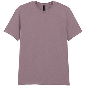 Gildan Softstyle GD001 Paragon T-Shirt 3XL