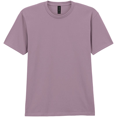 Gildan Softstyle GD024 Paragon T-Shirt