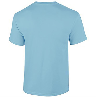 Gildan Softstyle GD001 Sky Blue Cotton T-Shirt